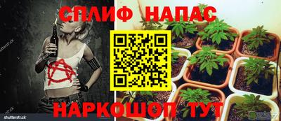 мяу мяу кристалл Краснознаменск
