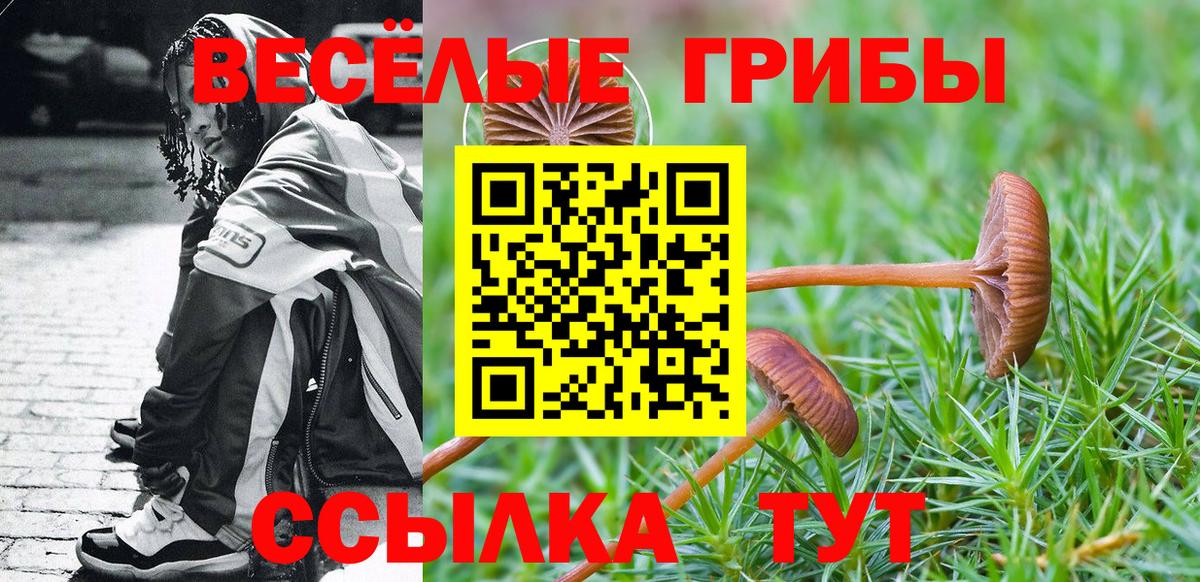 Топки  Псилоцибиновые грибы мицелий  Вход с VPN 